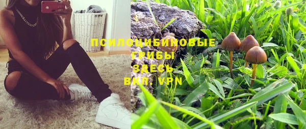 прущая мука Каменногорск