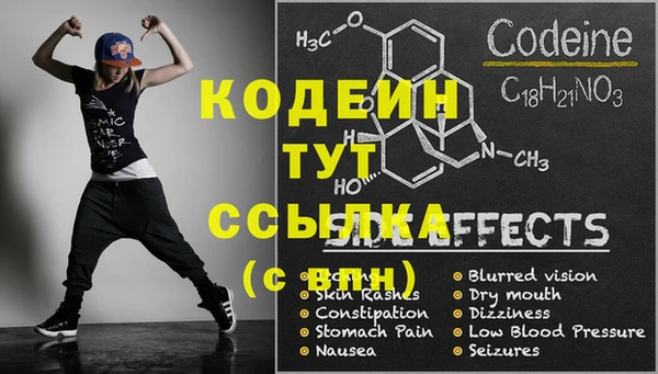 кокс Инсар