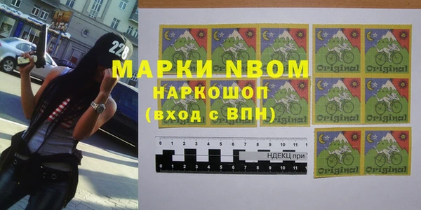 кокс Инсар