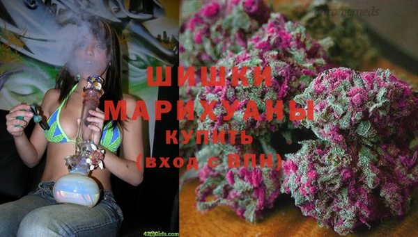 стафф Каменск-Шахтинский