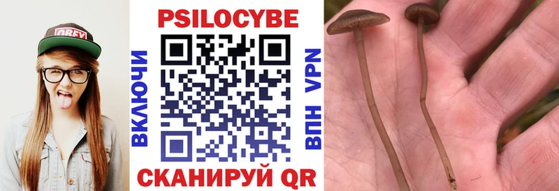Псилоцибиновые грибы мицелий Выкса