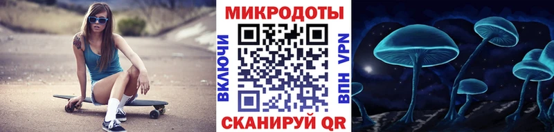 Купить где  Выкса  Галлюциногенные грибы Cubensis 